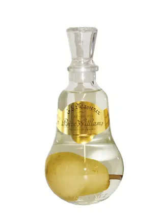 MASSENEZ Poire Prisonnière