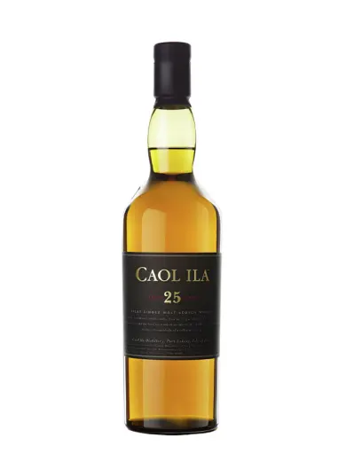 CAOL ILA 25 years #1