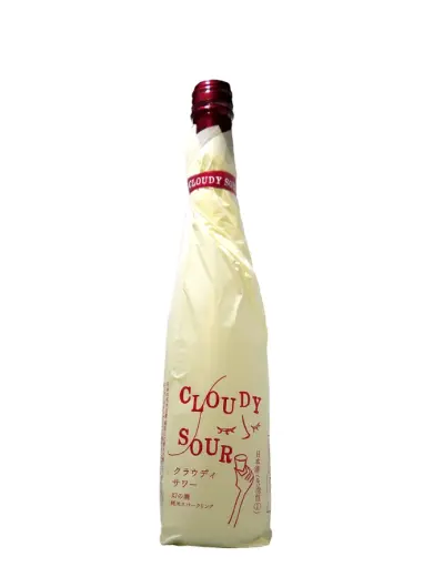 MABOROSHINOTAKI Cloudy Sour #2