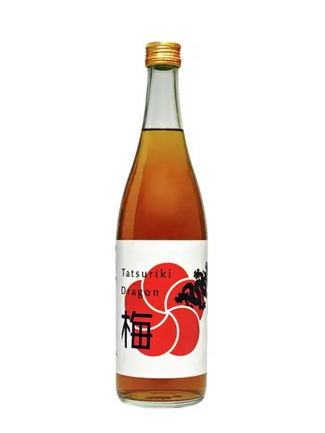 HONDA SHOTEN Dragon Ume #1