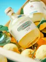 MAMMA MIA ! Limoncello #2