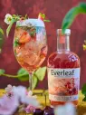 Everleaf Mountain #2